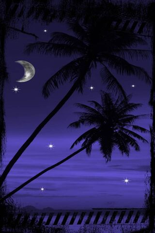 Serenade of the Night Sky 🌙🌴