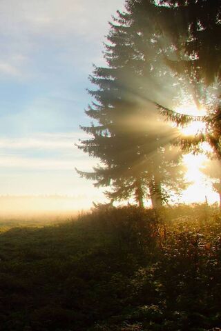 Awakening Horizons: The Beauty of Sunrise 🌅