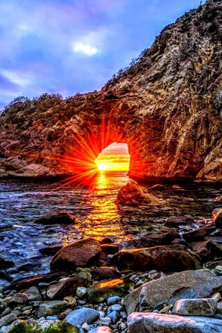 Mfy: Nature's Radiant Gateway 🌅✨