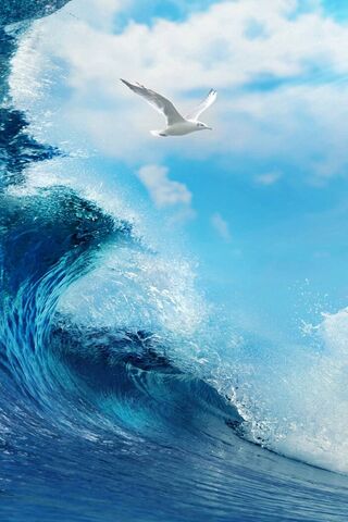 Seagull's Dance with the Waves 🌊🕊️