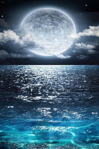 Luminous Serenity: A Mo..