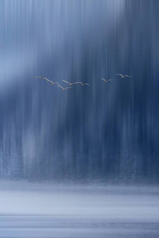 Serenity in Motion: The Lenovo Zuk Z2 Experience