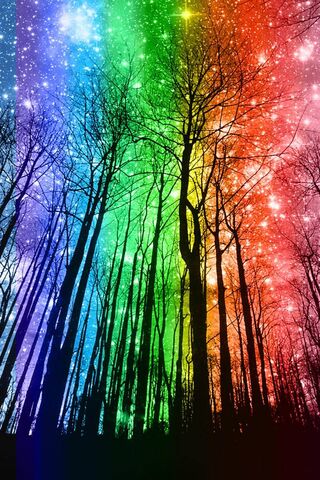 Whimsical Wonders of th..