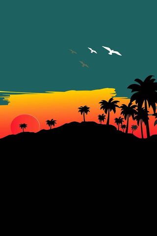Tropical Sunset Vibes �..