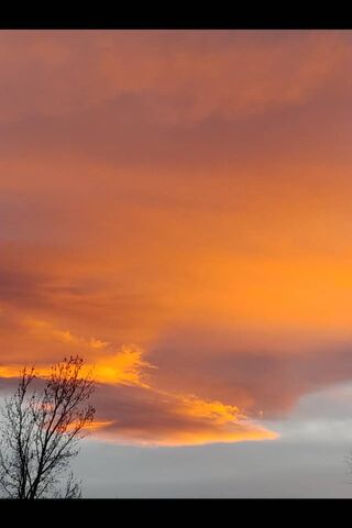 Golden Horizon: A Sunset Symphony 🌅✨