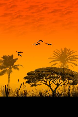 Sunset Serenade: A Nightfall in Africa