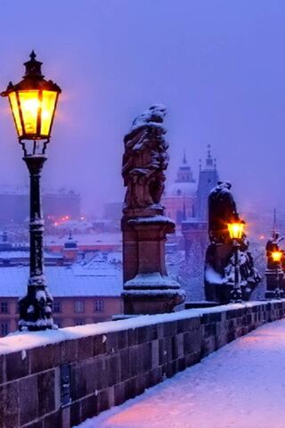 Embracing the Chill: A ..