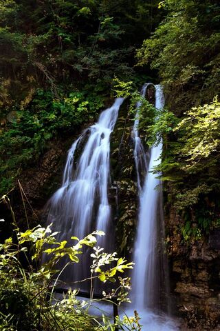 Nature's Flow: The Casc..