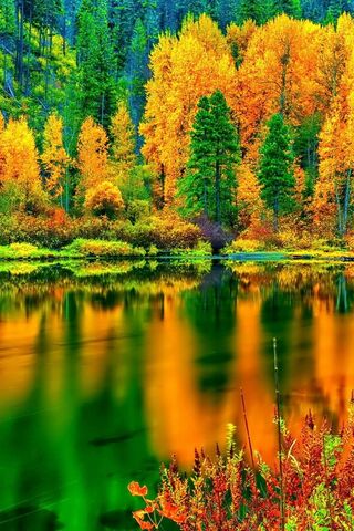 秋天的湖