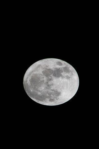 Mystical Moonlight 🌙✨