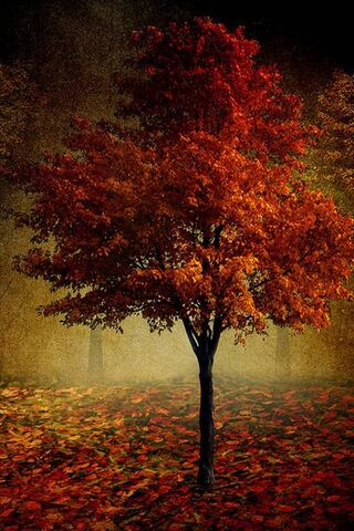 Golden Hues of Autumn 🍂
