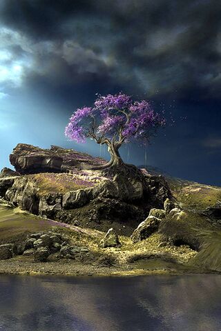 Tree Purple