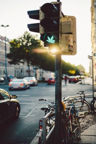Ville de la marijuana