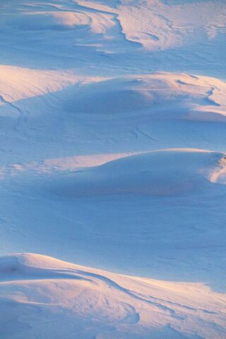 Whispers of Winter: The Art of Snow Drifts ❄️✨