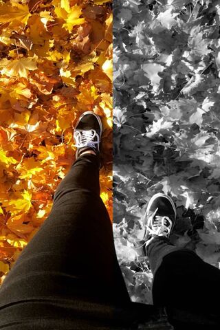 Karolina's Autumn Stroll 🍂✨