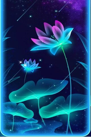 Celestial Blooms: A Dan..