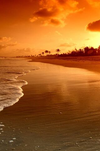 Golden Horizons: A Sere..