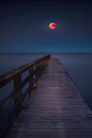 Dock To The Moon