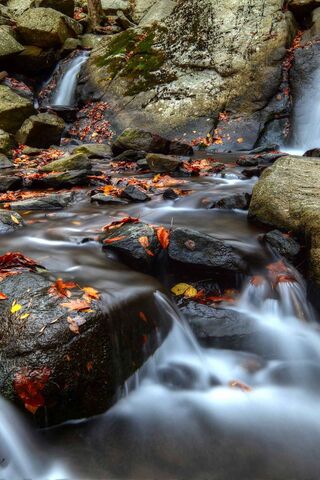 Tranquil Stream Serenit..