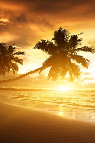 Palm Beach Sunrise