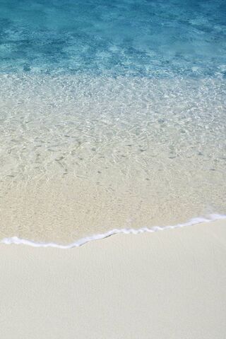 Sandy Shores and Sunny ..