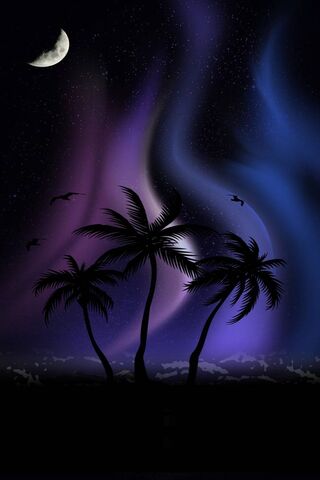 Whispers of the Night S..