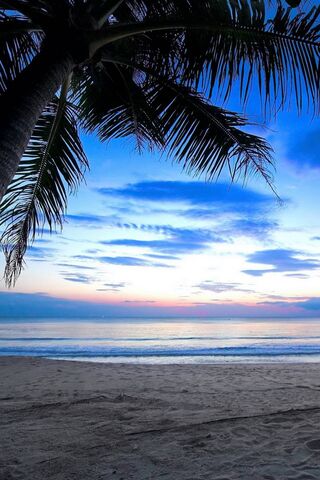 Awakening Paradise: A T..