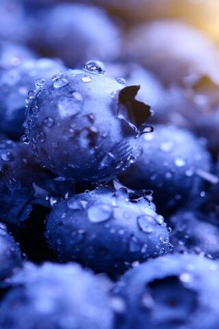 Blueberries Hd