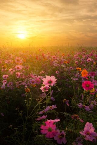 Awakening Horizons: A N..