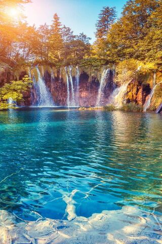 Nature's Cascade: A Ser..