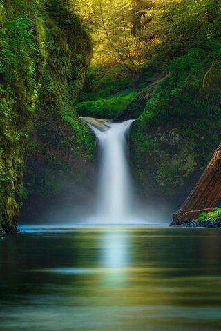 Whispers of Vodopad: Nature's Serenity 🌊🍃