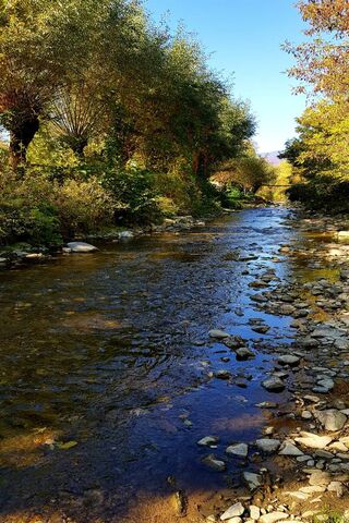 Oktober's Tranquil Stream 🍂💧