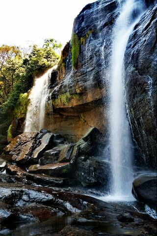Nature's Cascading Symp..