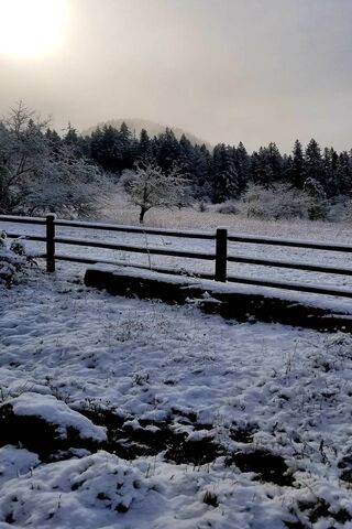 Snow Covered Field
