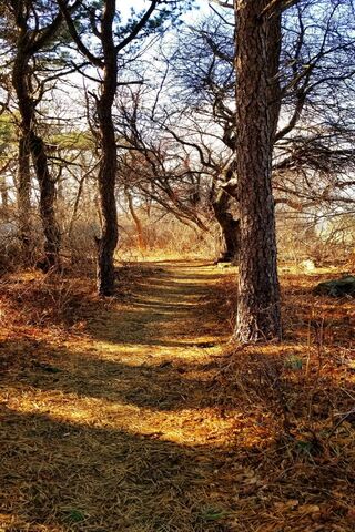 Path Less Traveled