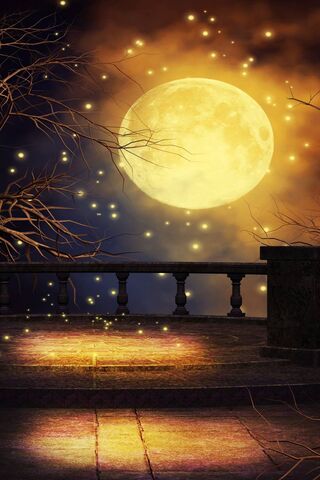 Mystical Moonlight: A N..