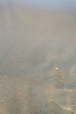 رمل البحر