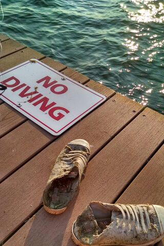 Sole Survivor: A Cautionary Tale