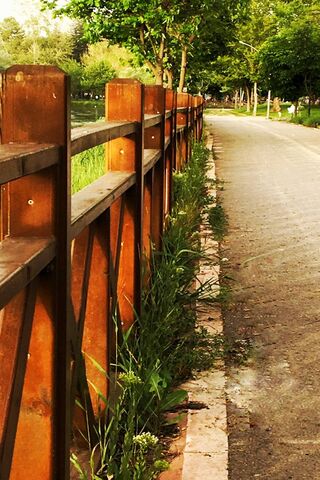 Discover the Serenity of Eskisehir Botanik 🌿🌸