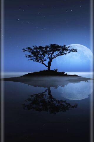 Lunar Serenity: The Tre..