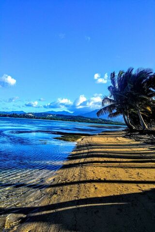 Lifes A Beach