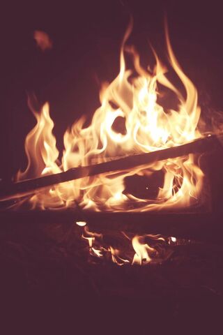 Ogień