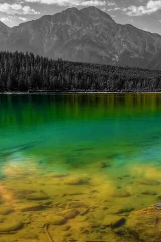 Into the Heart of Nature 🌲✨