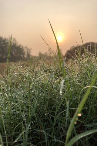 Dewy Dawn: A New Day Be..