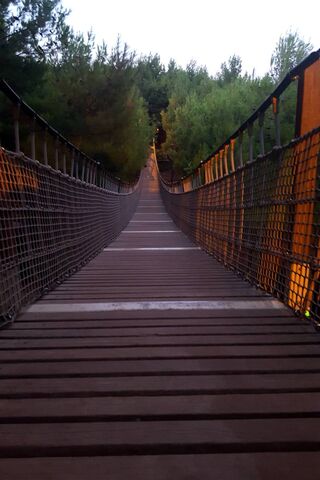 Brigde