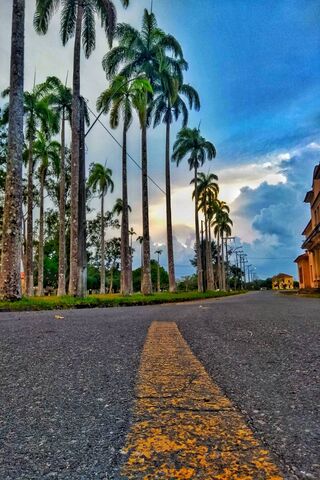 UFRB: A Serene Pathway ..
