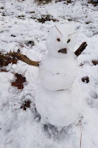 Angry Snowman
