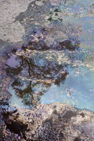Reflections of Another Side 🌊✨