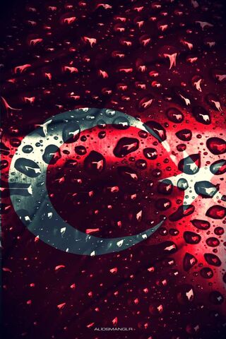 Turkbayra: A Glimpse of..