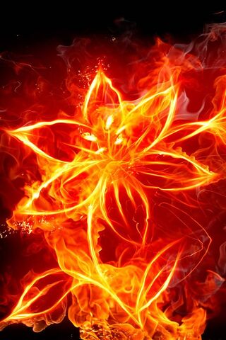 Çiçek Ateşi
